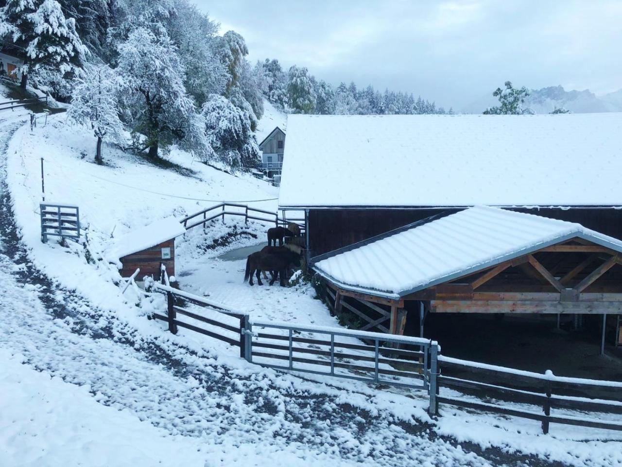 Hotel Garni Brigitte Buerserberg Luaran gambar