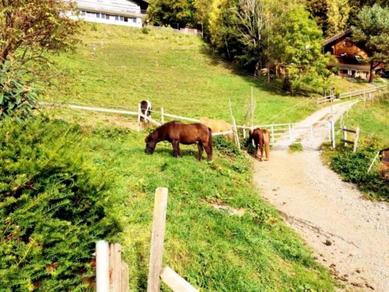 Hotel Garni Brigitte Buerserberg Luaran gambar